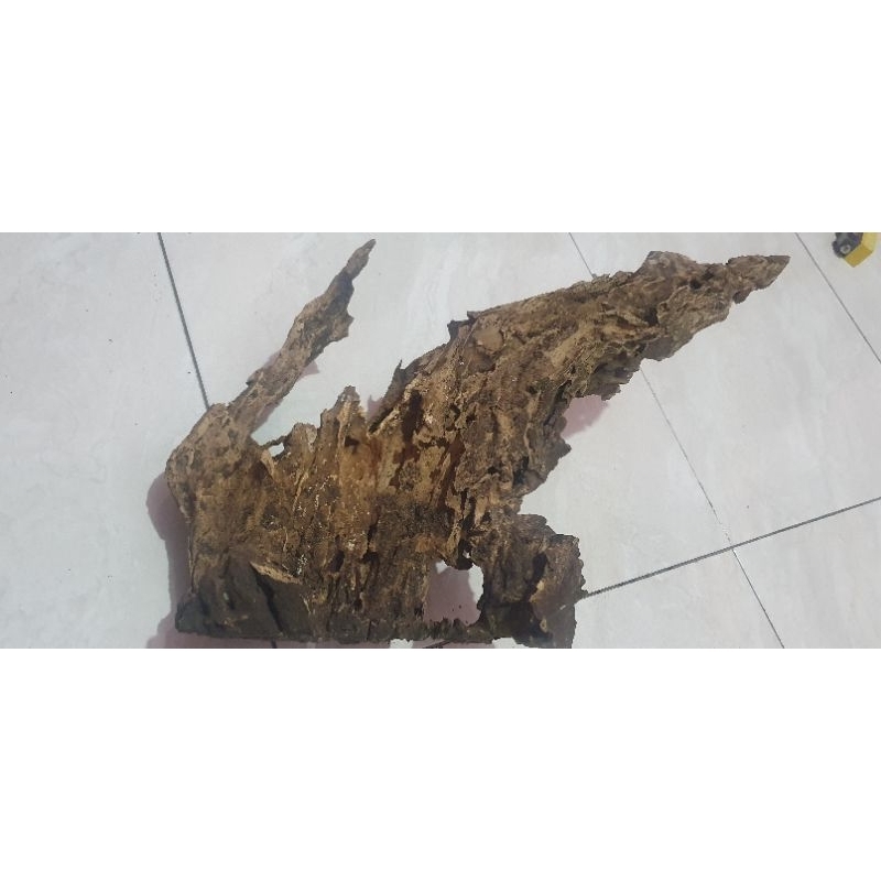 kayu jati hias aquascape aquarium