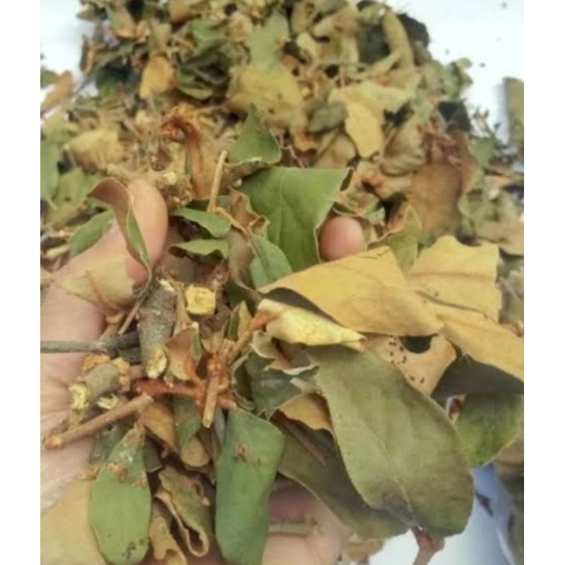 

Benalu kering herbal murah berkualitas 50 gram