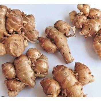 

Kencur/Kaempferia Galanga 500gr