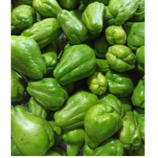 

Labu Siam Kecil / Baby Chayote 500gr