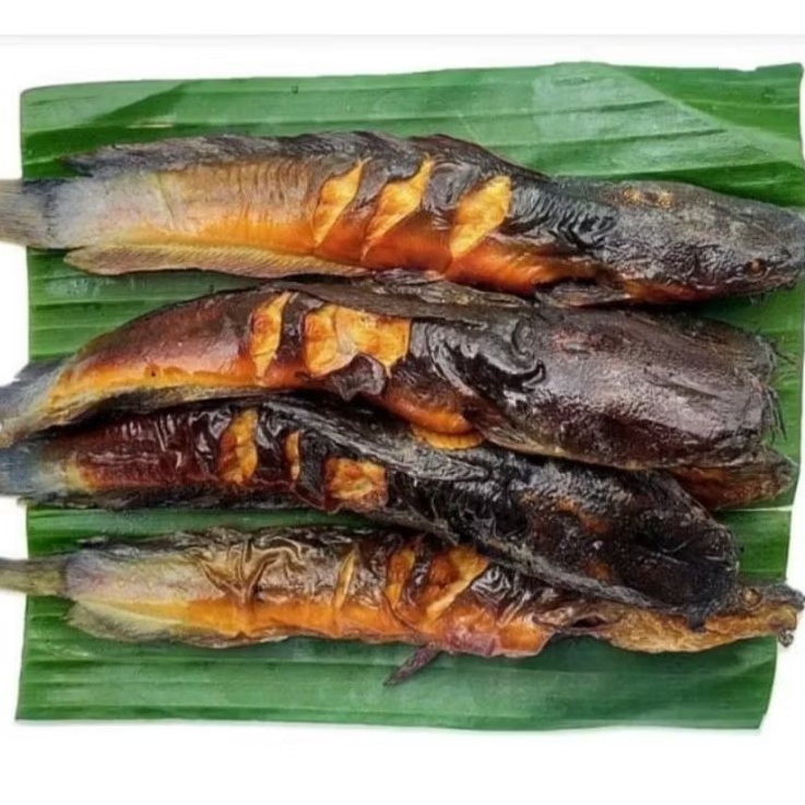 

LELE ASAP 4 EKOR SIAP SANTAP IKAN LELE ASAP ENAK SEGAR FRESH HIGIENIS