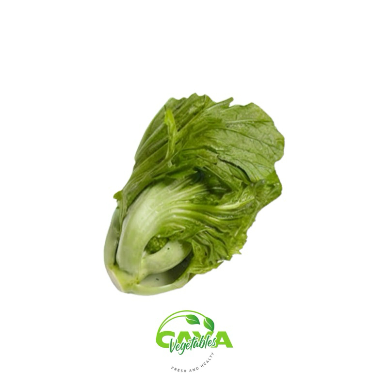 

KIRIM INSTAN Sawi Pahit Segar Premium 500g – Daun Hijau Berkualitas