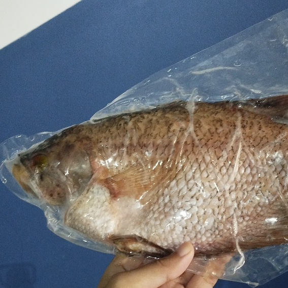 

Ikan Gurame Potong Butterfly | Gurame Belah Dua Premium
