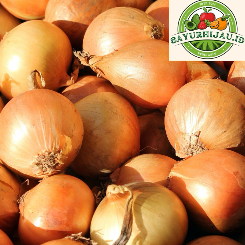

Sayur Murah - Bawang Bombay 500gr MURAH