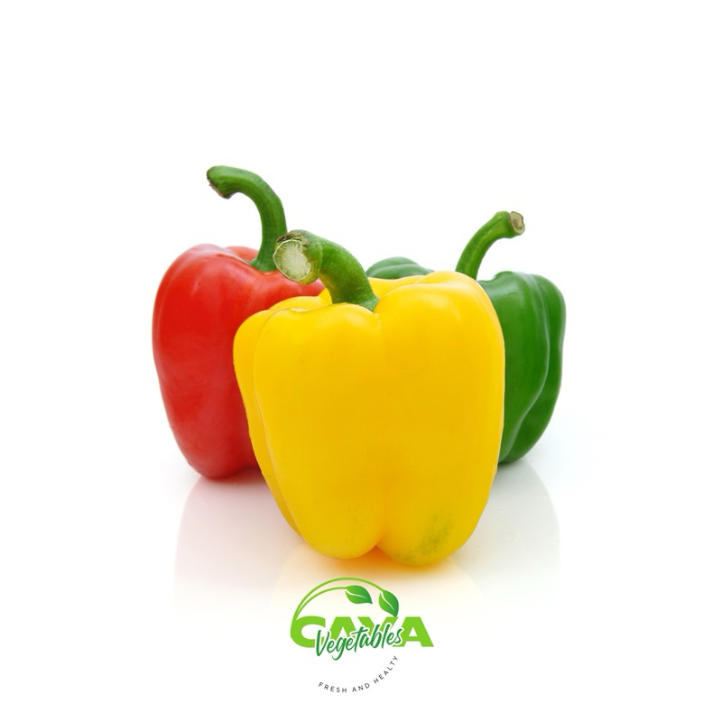 

KIRIM INSTAN Paprika 1 Buah (±200g) – Segar, Warna Cerah