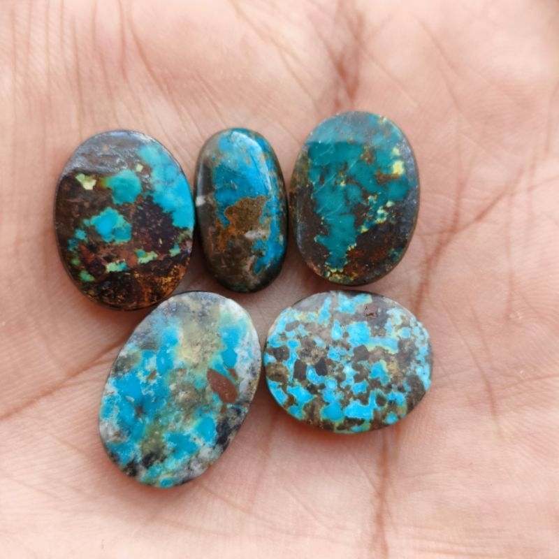 NATURAL PIRUS PERSIA,PIRUS IRAN,PIRUS URAT EMAS