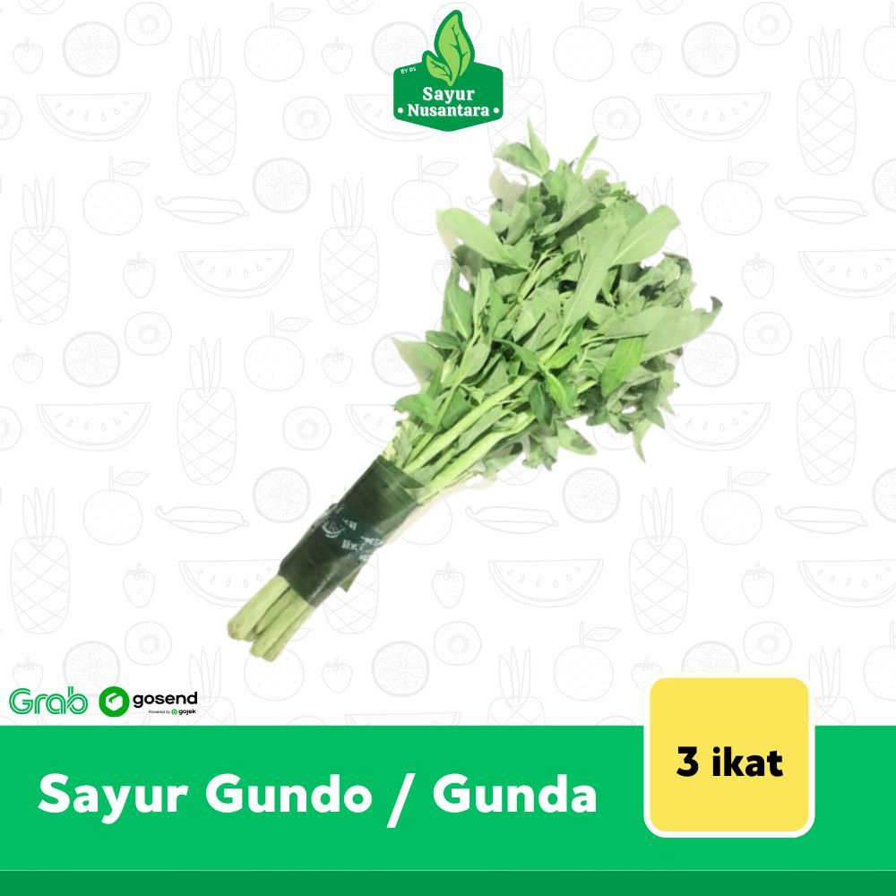 

Sayur Gundo / Gunda Fresh 3 Ikat - Sayur Nusantara