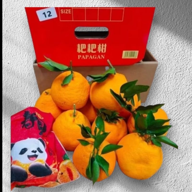 

JERUK DEKOPON/PAPAGAN PANDA 1KERANJANG 5kg
