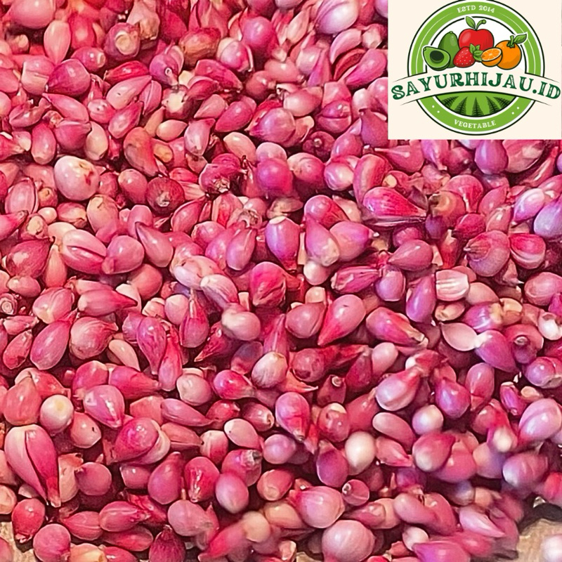 

Sayur Murah - Kupasan Bawang Merah 500gr MURAH