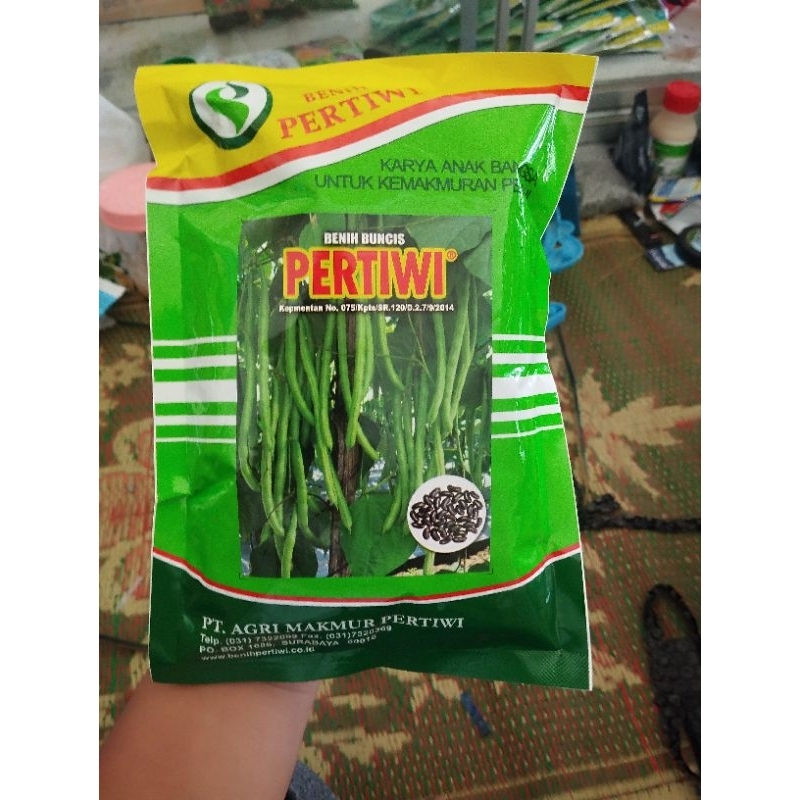 (COD) Buncis Pertiwi (EXP- 12-12-2025)  / buncis hijau / Pertiwi / buncis super / buncis pertiwi