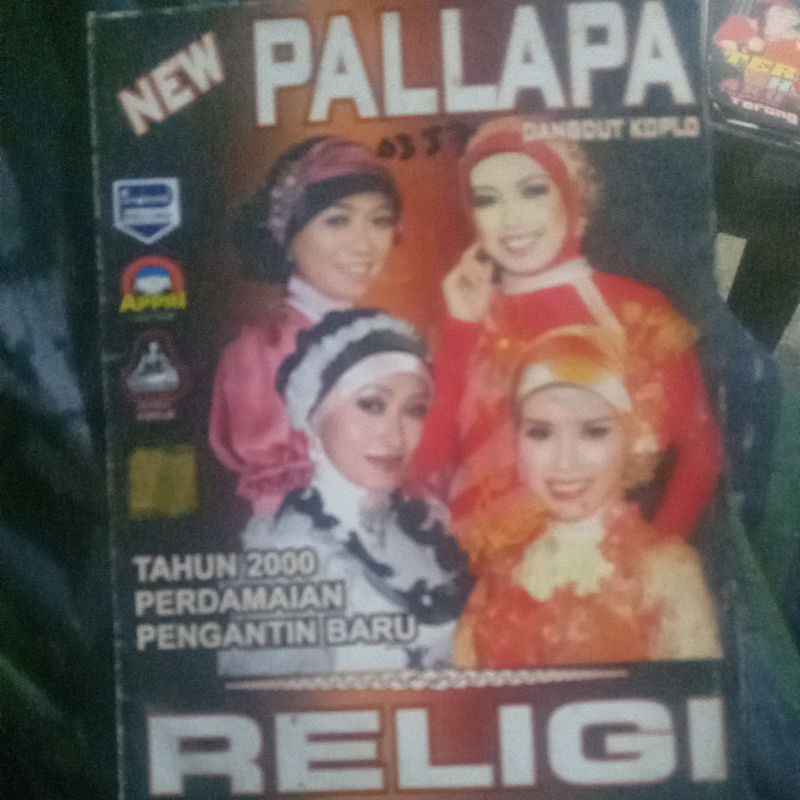 VCD NEW PALLAPA RRLIGI DD0357