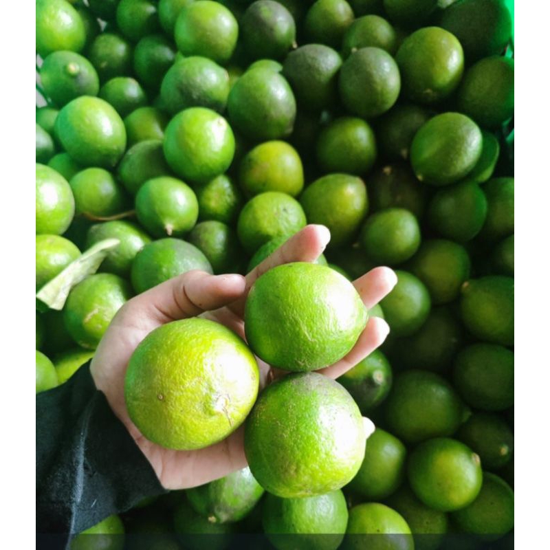 

JERUK PECEL /JERUK NIPIS 800 GR
