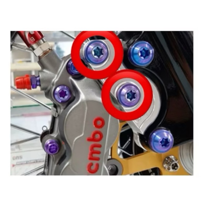 Baut Breket Kaliper Brembo Drat Kasar Titanium GR5 isi 2 baut