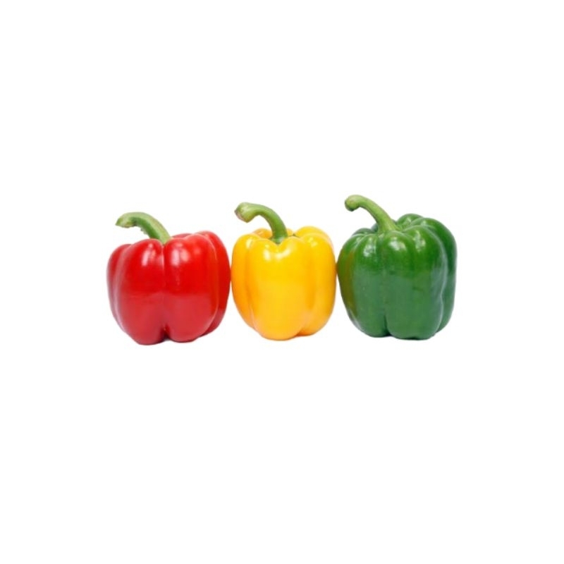 

Paprika Kuning Hijau Merah 250 gram