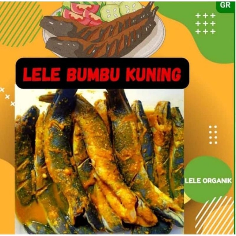 

KIRIM INSTANT IKAN LELE BUMBU KUNING ISI 6 PCS