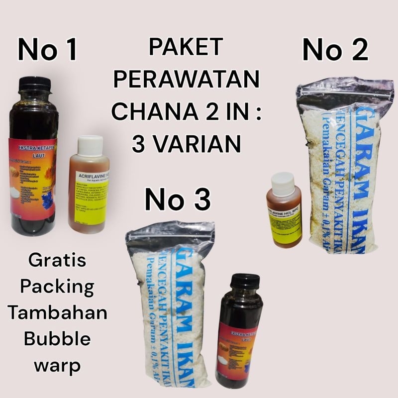Perawatan chana 2in / perawatan ikan chana / perawatan ikan chana lengkap / perawatan chana / perawa