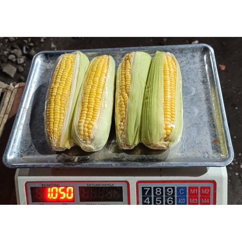 

Jagung Manis 1 kg