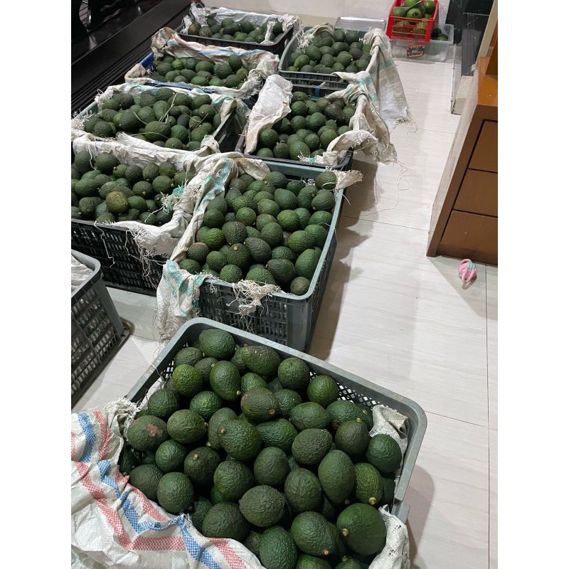 

alpukat hass aust lokal