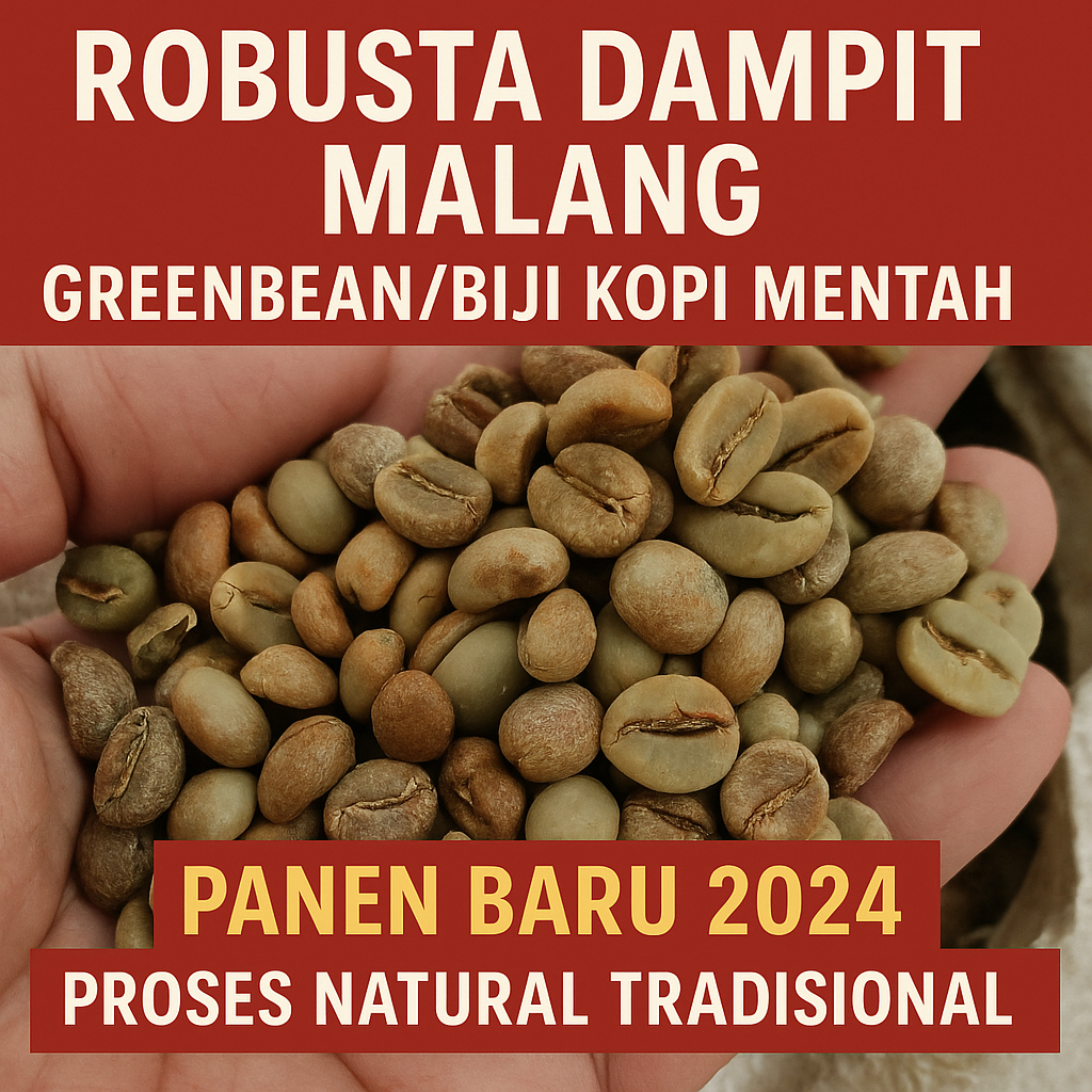 

Green Bean Dampit Robusta Panen 2024 Natural
