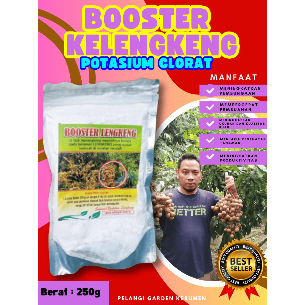 BEBAS JAMUR  Pupuk Buah Kelengkeng Kclo 3 Murni, Pupuk Buah Kelengkeng Kclo 3