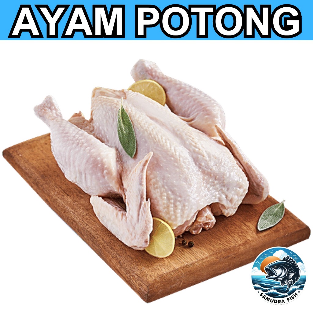 AYAM POTONG DADA / PAHA / SAYAP / GILING / KULIT 500GR | AYAM SEMARANG | AYAM POTONG SEMARANG | AYAM