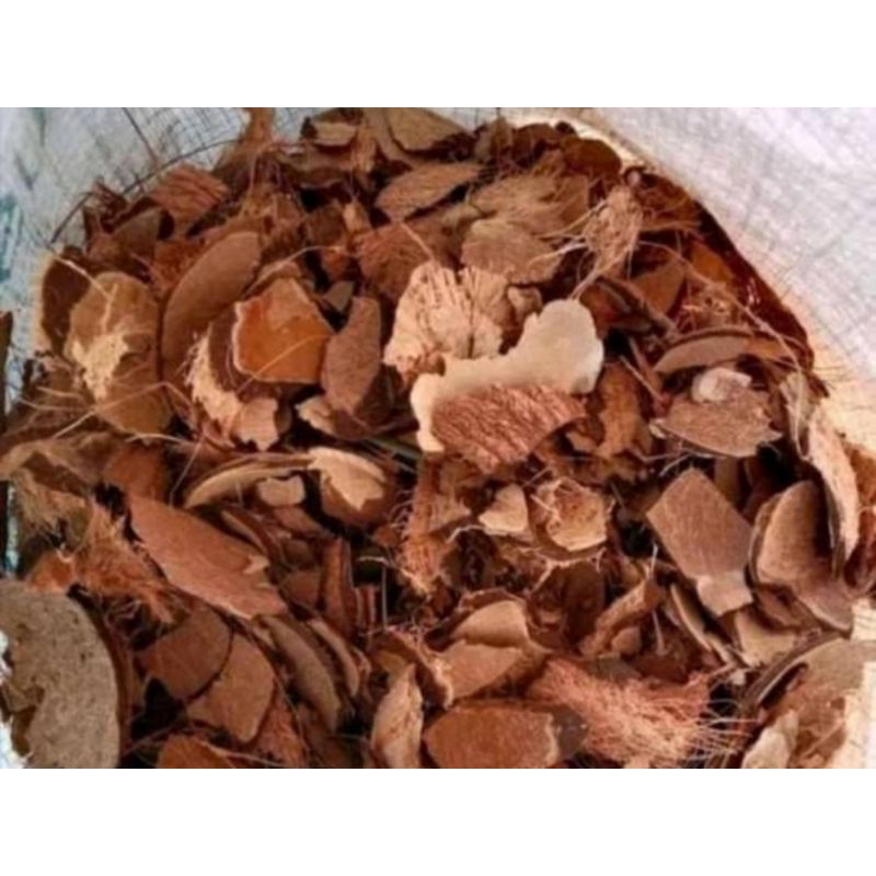 

Tempurung Kelapa 1kg [TERMURAH]