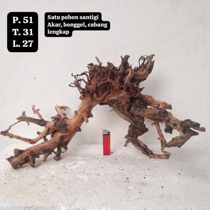 Kayu Aquascape - Kayu Santigi