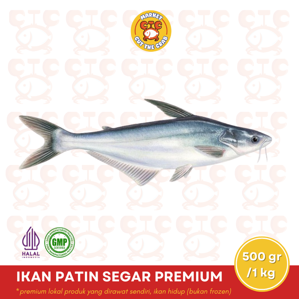 

IKAN PATIN SEGAR HIDUP (bukan frozen) 500gr/1kg | PREMIUM LOKAL PRODUCT