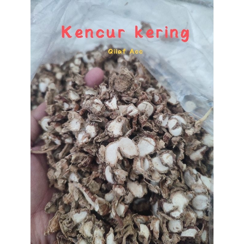 

kencur kering asli madura