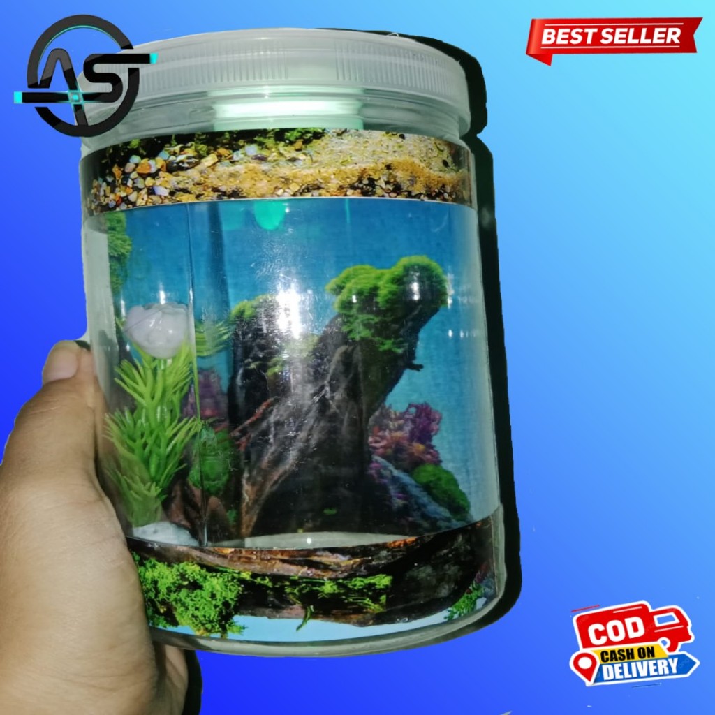 Aquarium Diameter 5cm Akuarium Mini Tabung Bulat Ikan Cupang Hias Full Hiasan Dan Lampu Murah