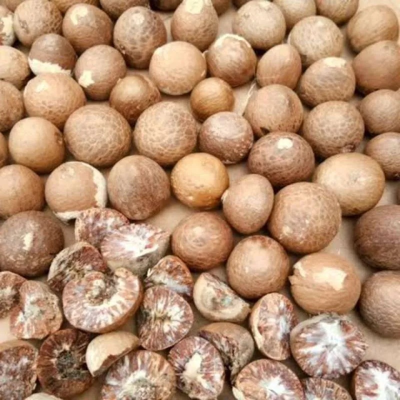

Pinang Muda Iris Kering 500gr - Jambe Muda Iris Kering