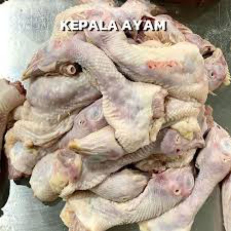 

Kepala Ayam Potong Segar / Kepala Ayam Potong Fresh / Kepala Ayam Potong Broiler