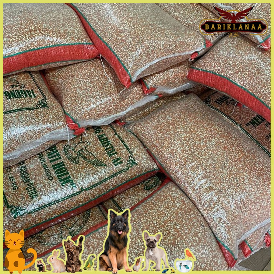 Jagung Kristal 25Kg - Jagung Kristal Probolinggo Merpati Holic kemasan 25Kg