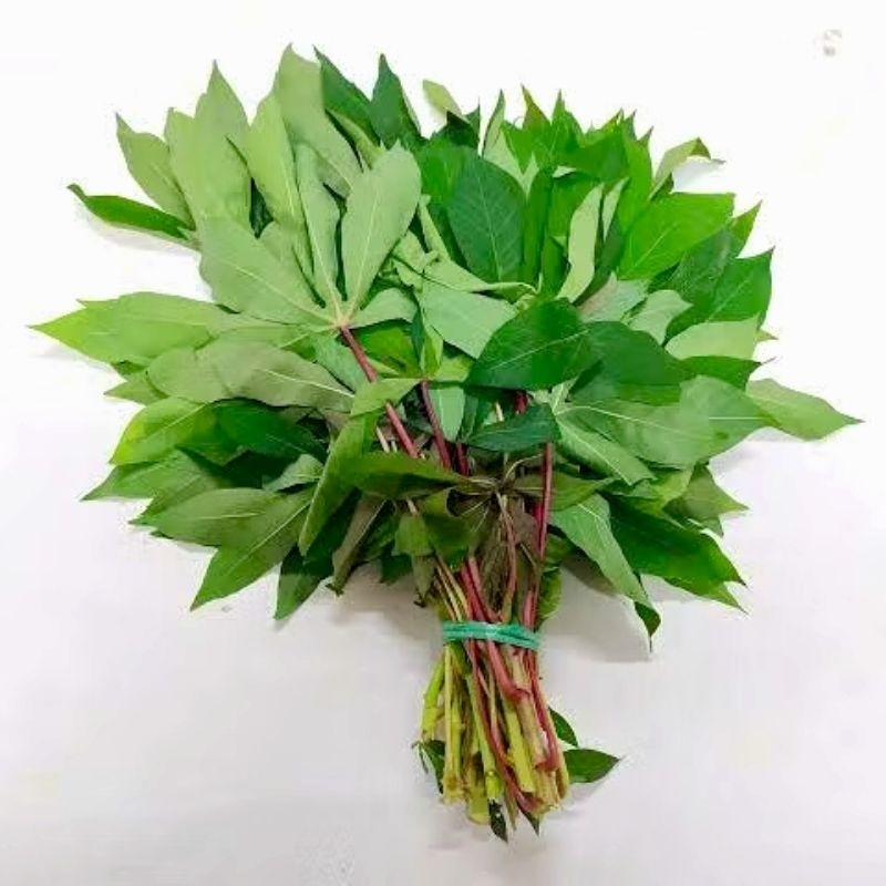 

Daun Singkong Daun Ketela 150 grqm