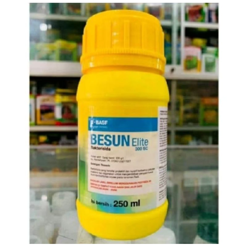 BESUN Elite 300sc 250ml