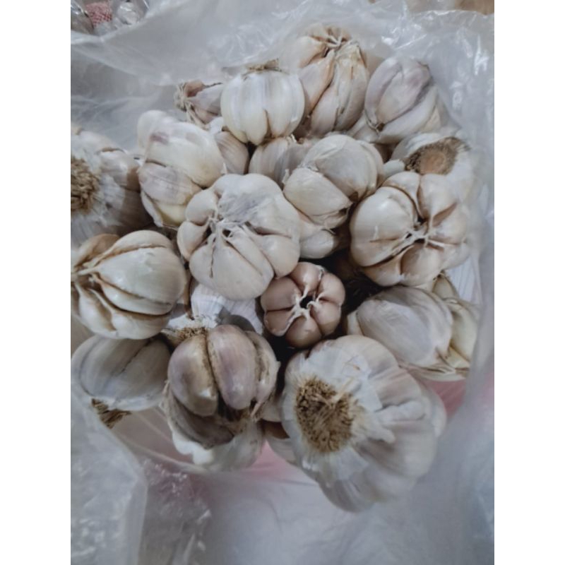 

Bawang putih Premium 1kg, 1/4, 1 setengah kg