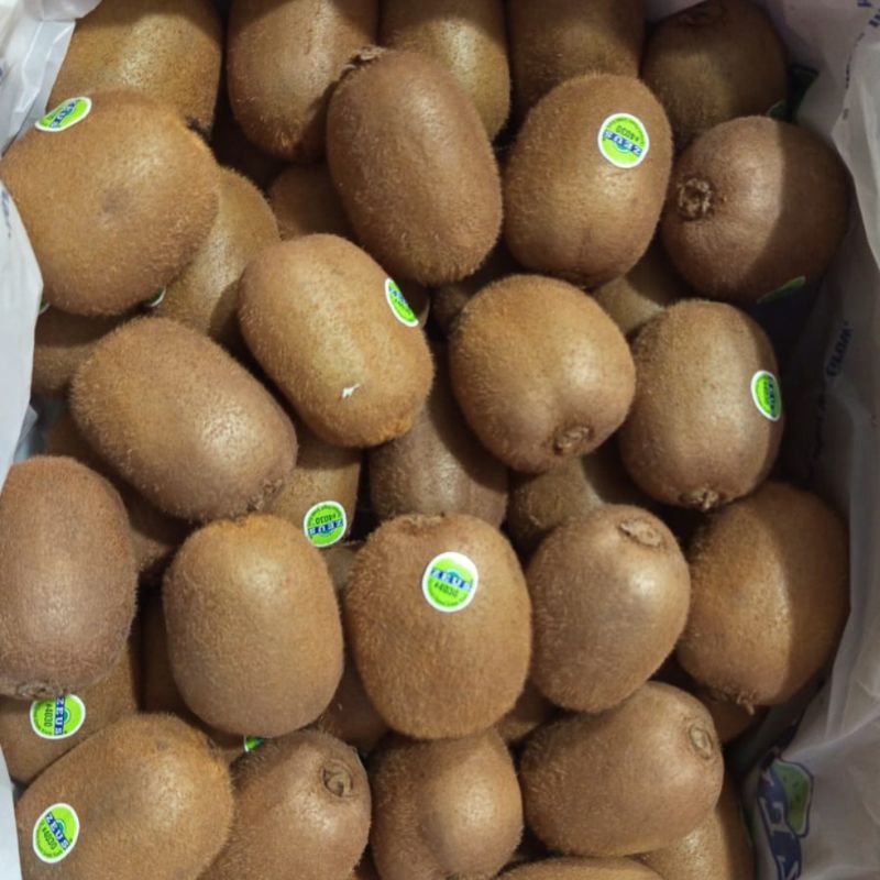 

KIWI HIJAU/ GREEN 1 DUS