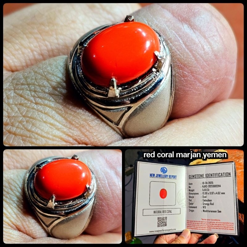 NATURAL BATU MARJAN MERAH ASLI LAUT MERAH HQ