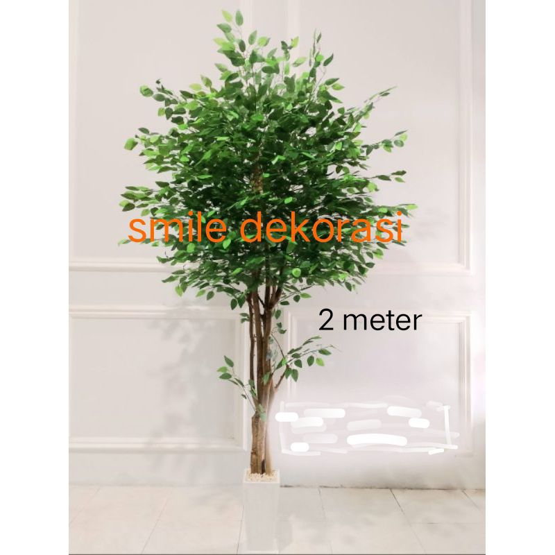 NEW ARRIVAL pohon beringin hijau artificial TINGGI 2 METER//Dekorasi ruangan//hiasan pohon plastik