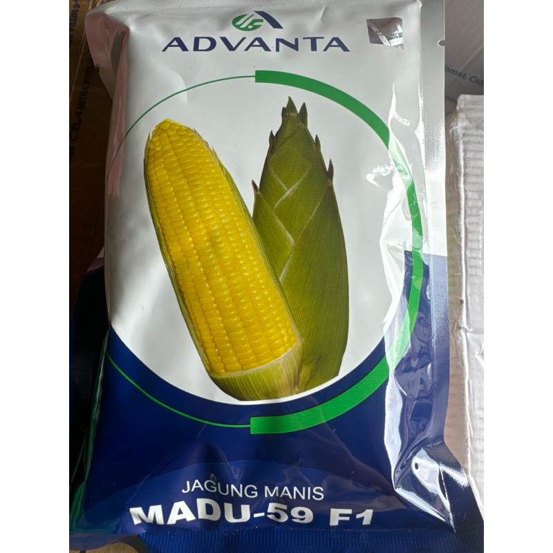 Benih Jagung Manis Madu-59