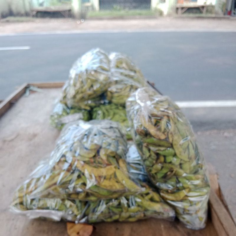 

kedelai edamame