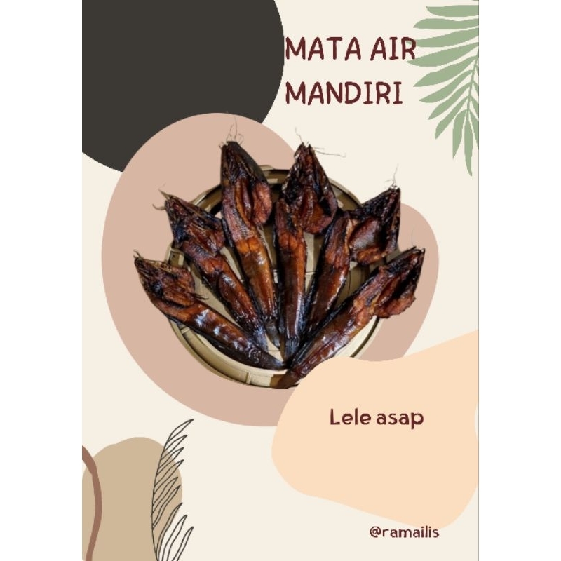 

lele aaap khas minang asli dr sumpur kudus