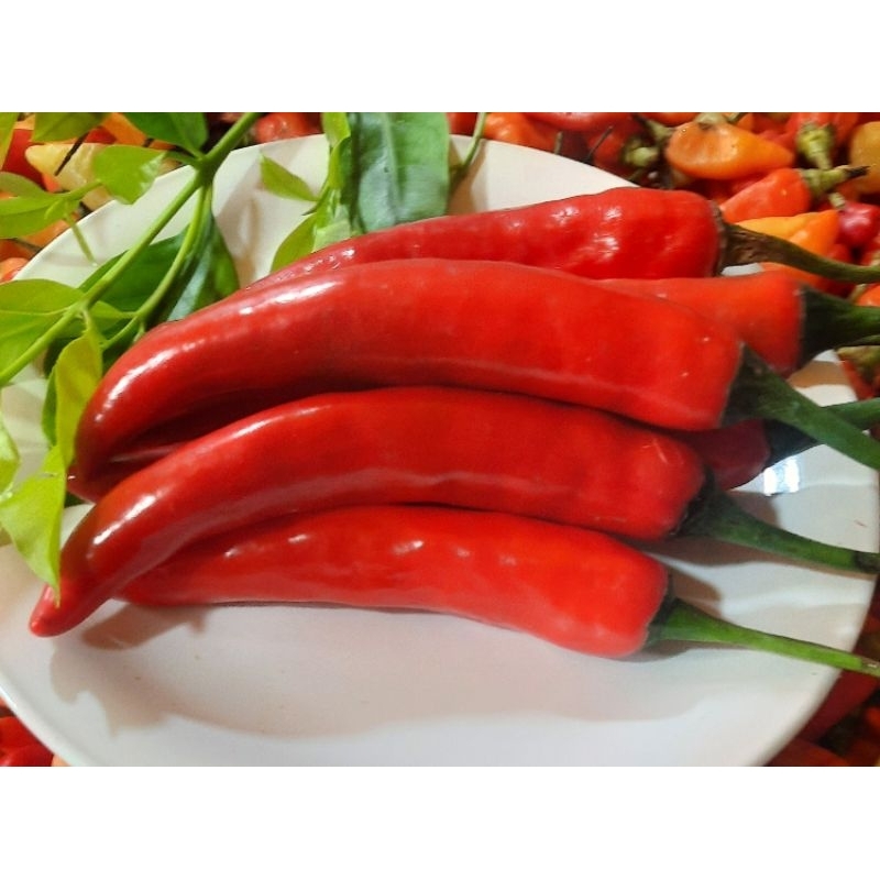 

INSTAN Cabe Merah Besar 500 Gram