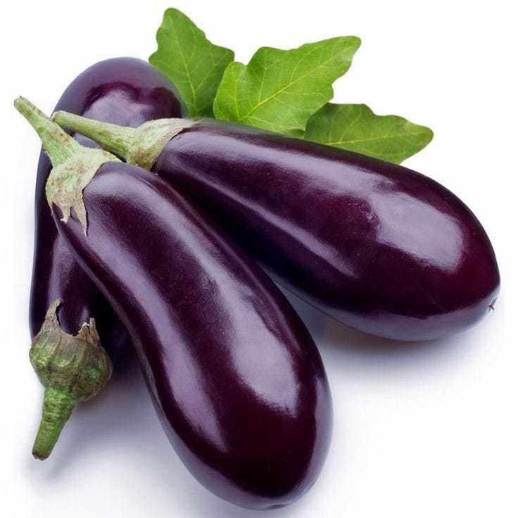 

Terong Ungu Segar Kiloan Sayur Terong Panjang Ammaryllis Sayur Segar