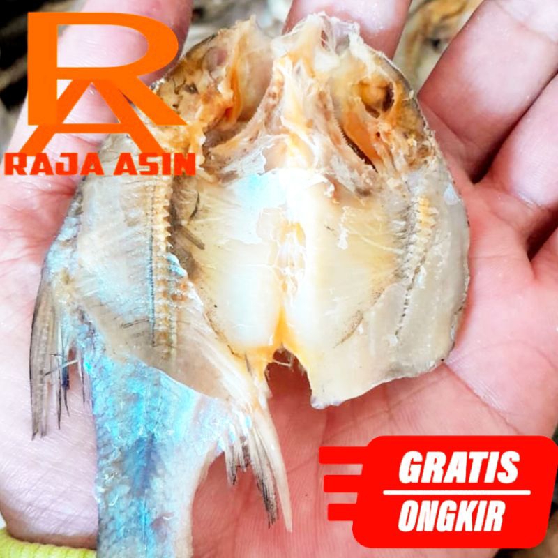 

Ikan Asin Nilem Ikan Asin Karamas Ikan Asin Murah
