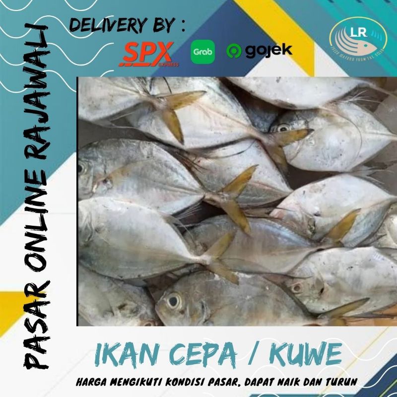 

Ikan cepa/kuwe