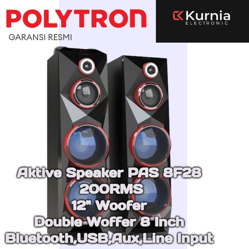 POLYTRON PAS 8F28 /  PAS8F28/PAS-8F28 SPEAKER KARAOKE BLUETOOTH