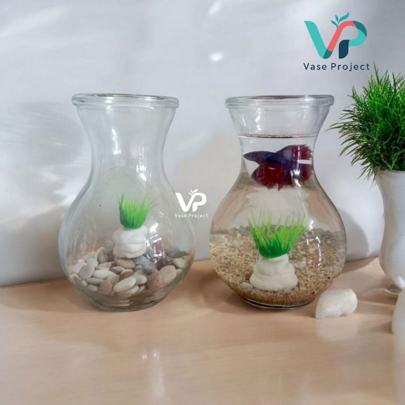 Paket Lengkap Aquarium Mini Cupang | Aquarium Cupang | Tank Ikan Cupang | Aquascape |