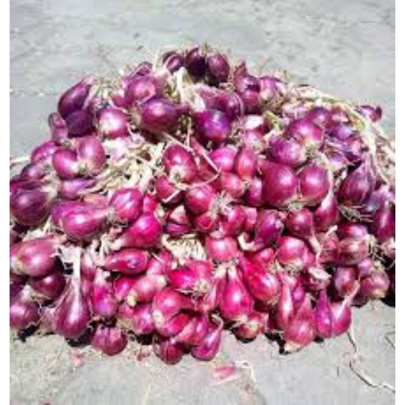 

bawang merah brebes 250 gram atau seperempat kg