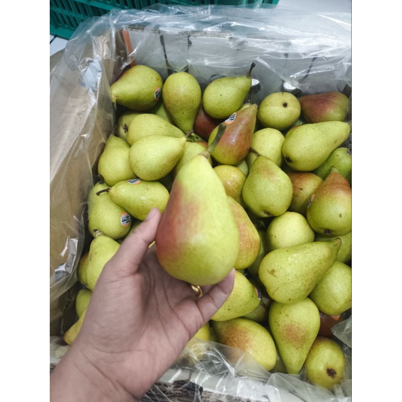 

Pir Honey Belle Manis 1kg – Buah Import Premium Manis, Segar, Renyah,.